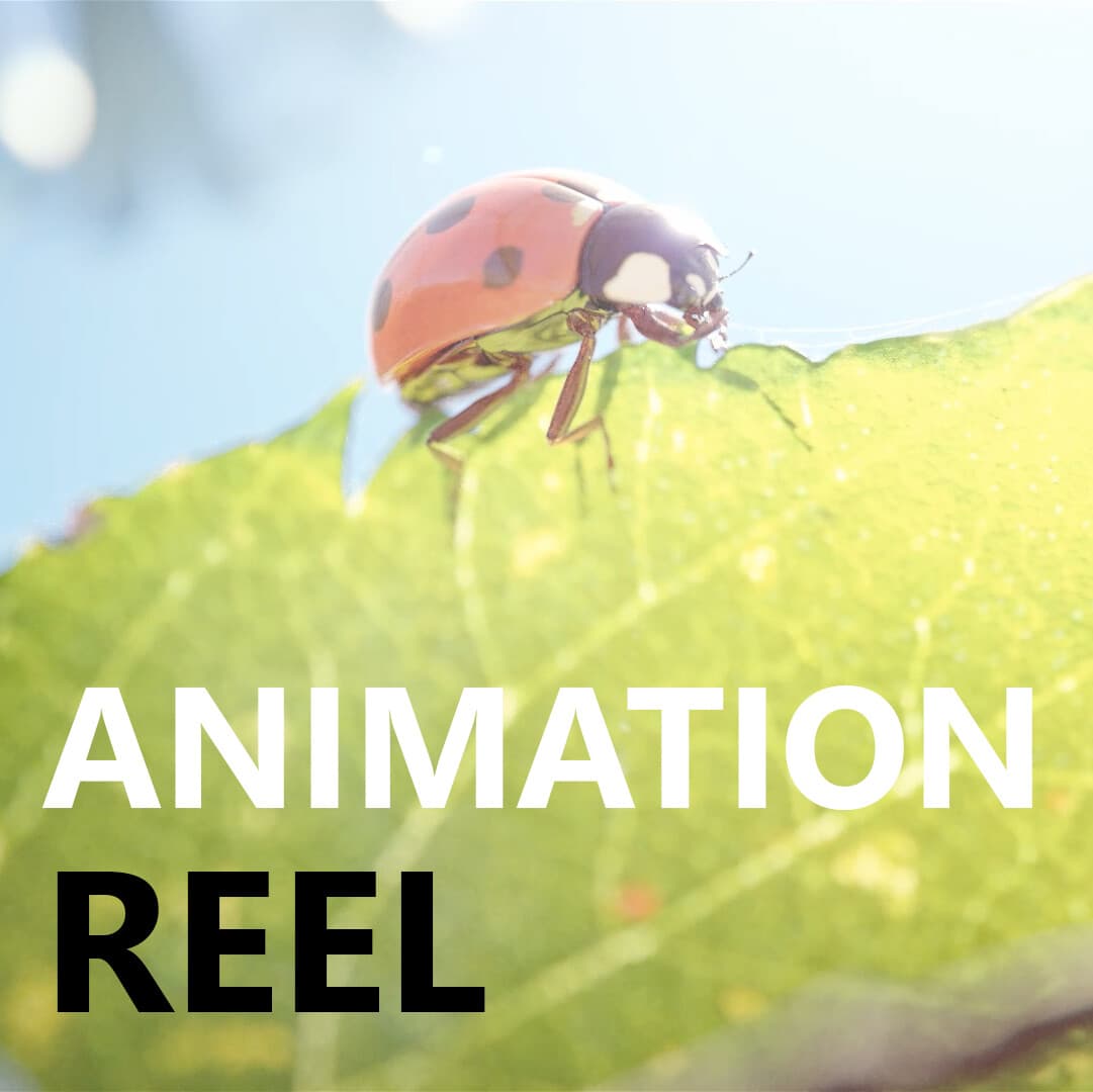 Animation Reel