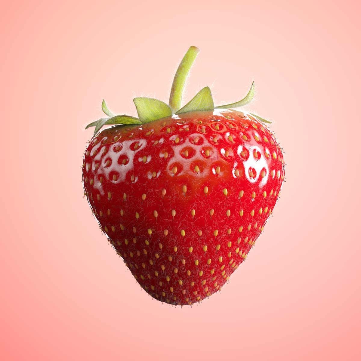 Modelstudy: Strawberry